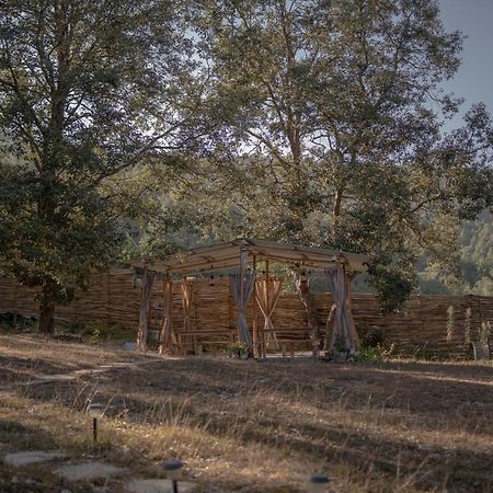 Nayalap - Rural Himalayan Glamping Hotell Shitlakhet Eksteriør bilde