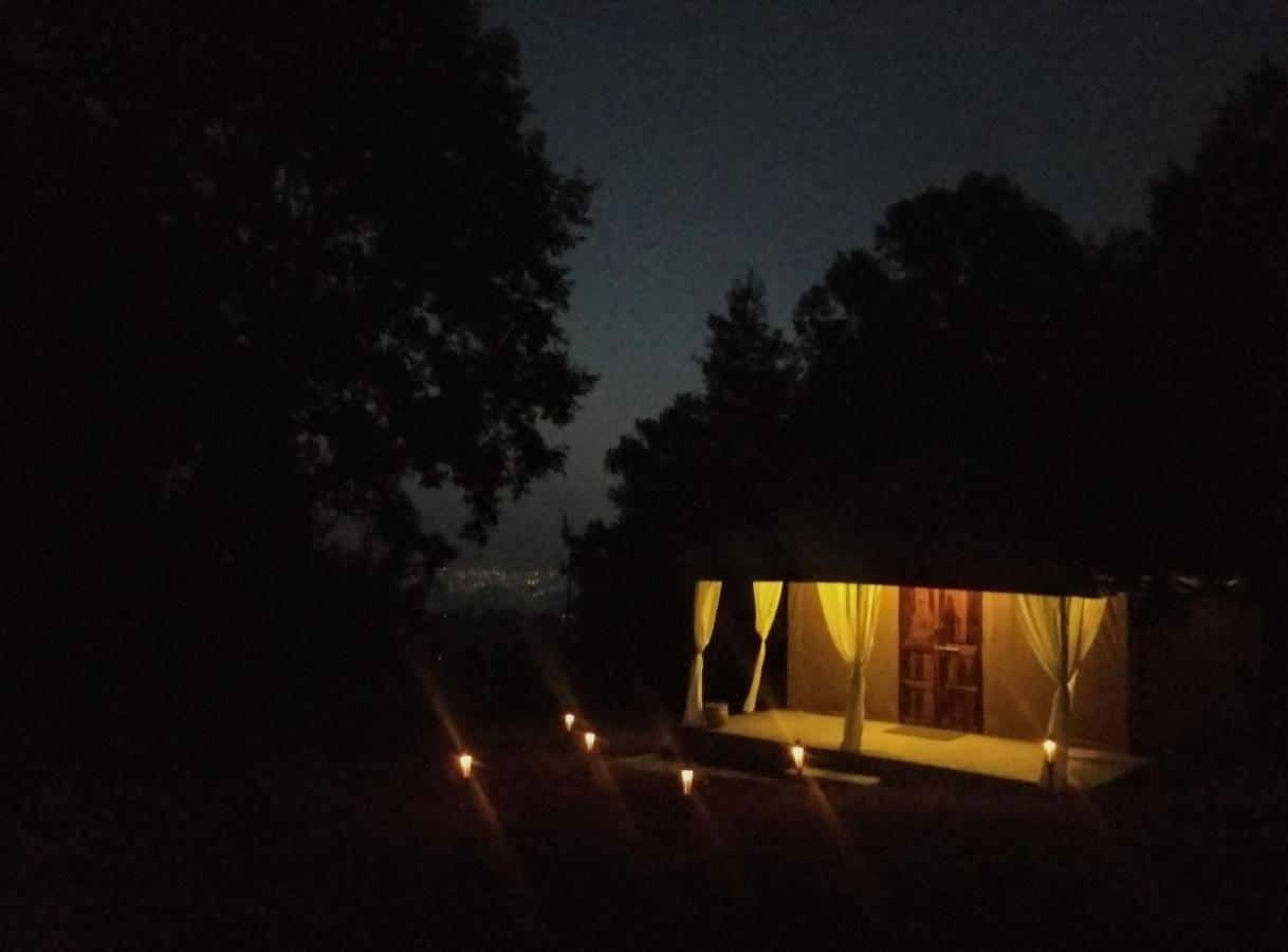 Nayalap - Rural Himalayan Glamping Hotell Shitlakhet Eksteriør bilde