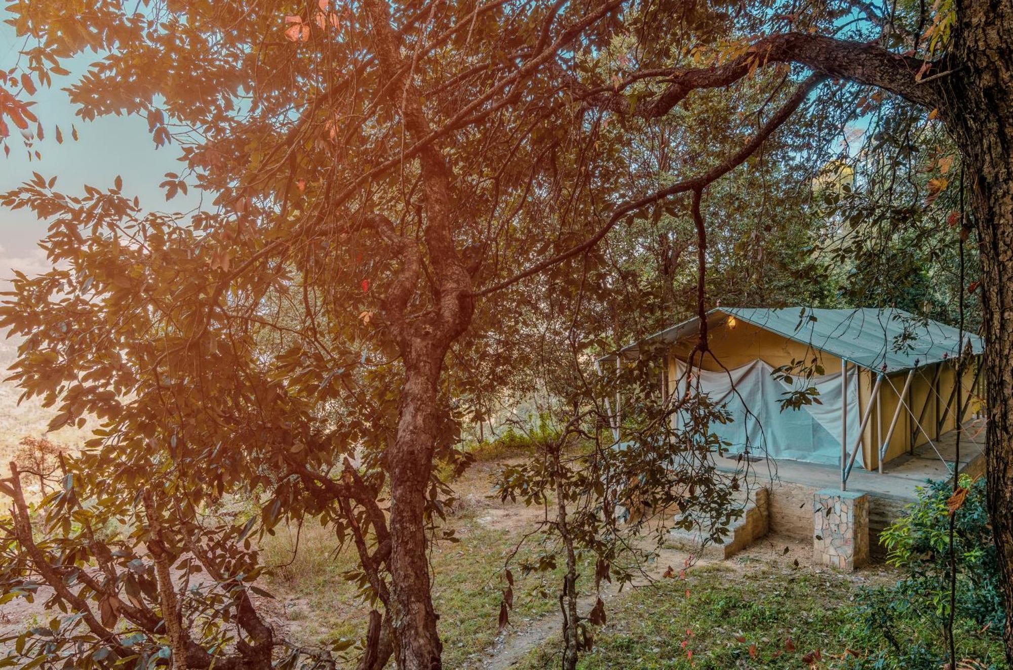 Nayalap - Rural Himalayan Glamping Hotell Shitlakhet Eksteriør bilde