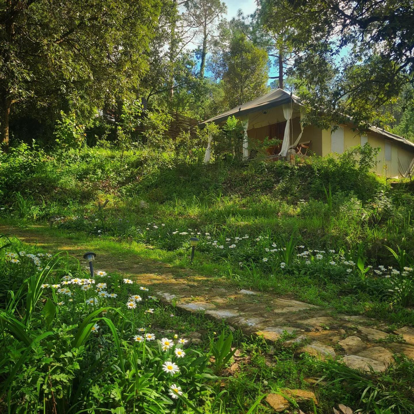Nayalap - Rural Himalayan Glamping Hotell Shitlakhet Eksteriør bilde